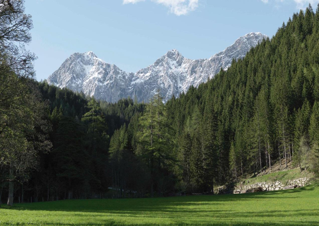 Alpenrose Boutique Chalet Gretl Ramsau am Dachstein Exteriör bild