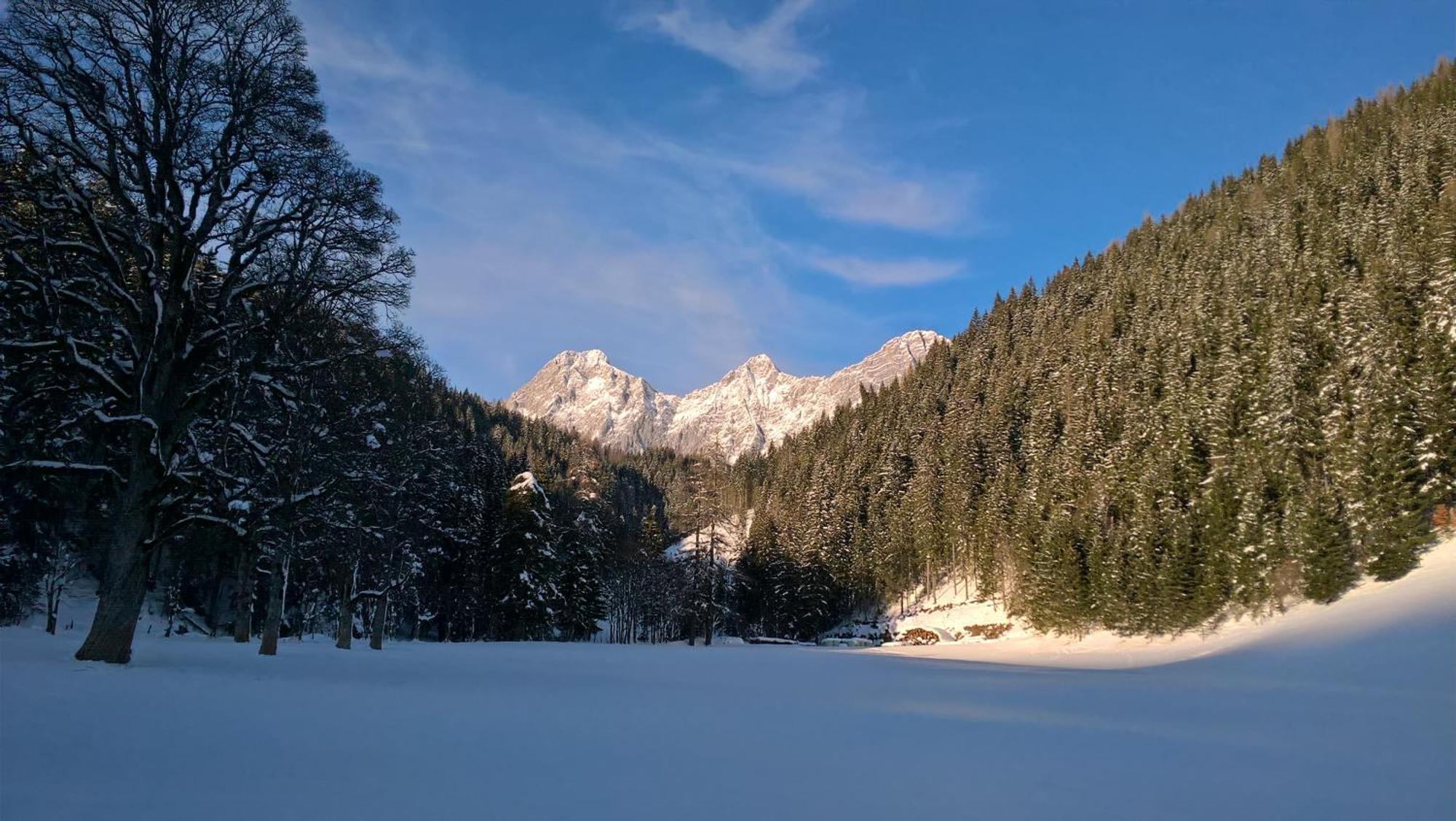 Alpenrose Boutique Chalet Gretl Ramsau am Dachstein Exteriör bild
