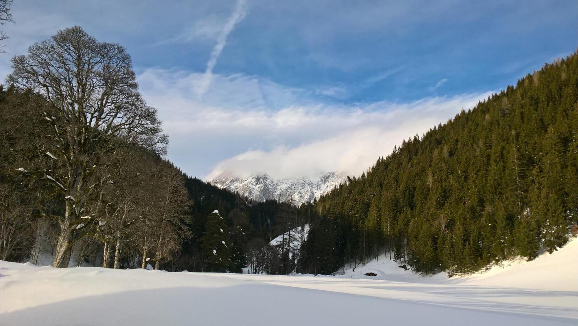 Alpenrose Boutique Chalet Gretl Ramsau am Dachstein Exteriör bild