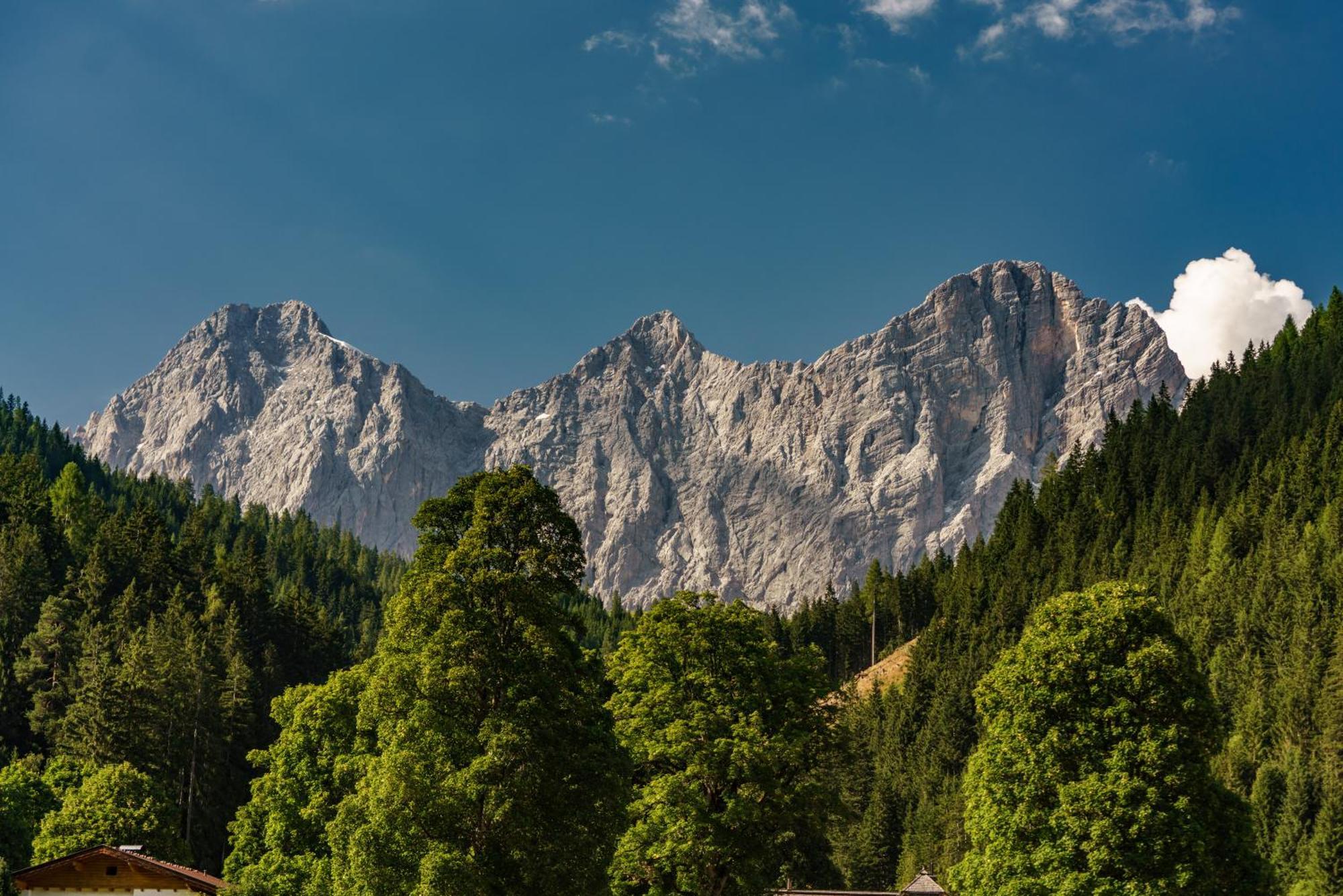 Alpenrose Boutique Chalet Gretl Ramsau am Dachstein Exteriör bild