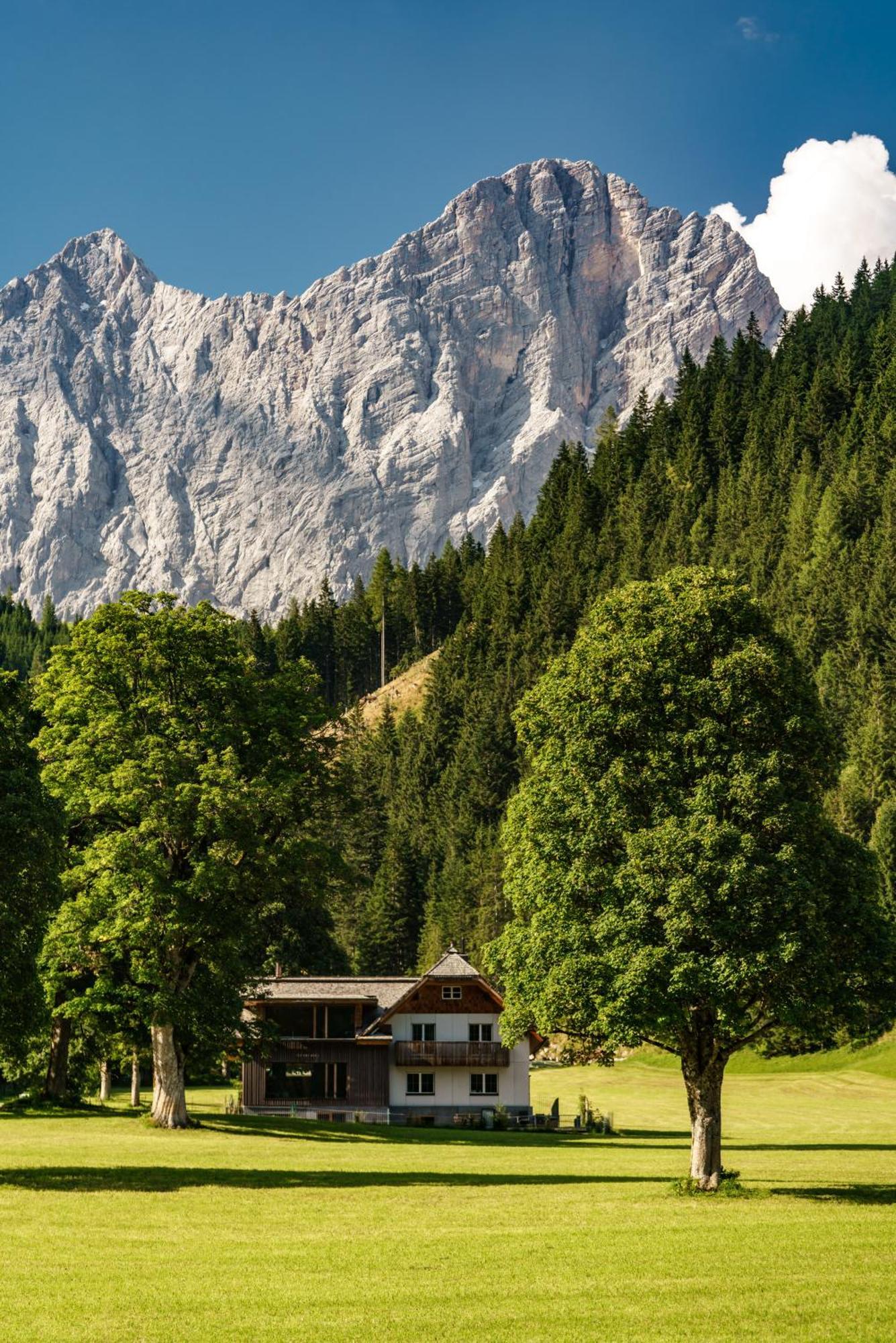 Alpenrose Boutique Chalet Gretl Ramsau am Dachstein Exteriör bild