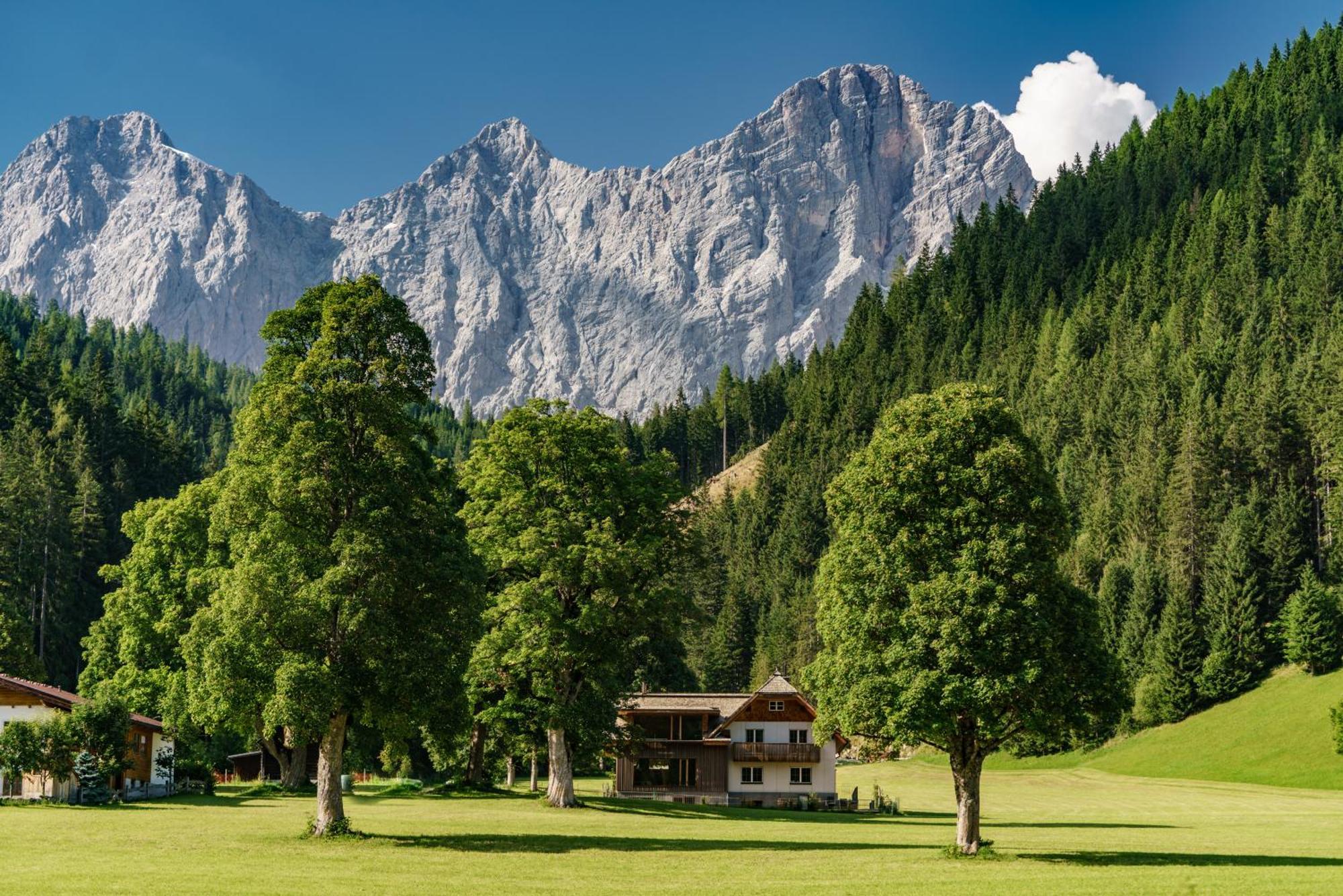 Alpenrose Boutique Chalet Gretl Ramsau am Dachstein Exteriör bild